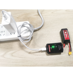 Goosky P25 2-3S Charger