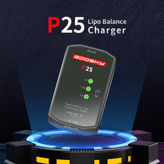Goosky P25 2-3S Charger