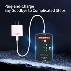 Goosky P25 2-3S Charger