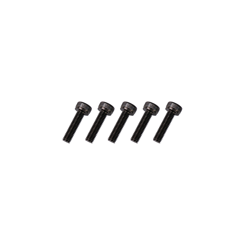Goosky RS7 Screws M3*12 - HeliDirect