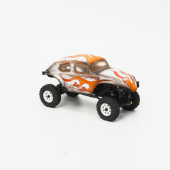 RADIANZ SCX30 Bug Dunnie Airbrush Lexan Body – MiniJet